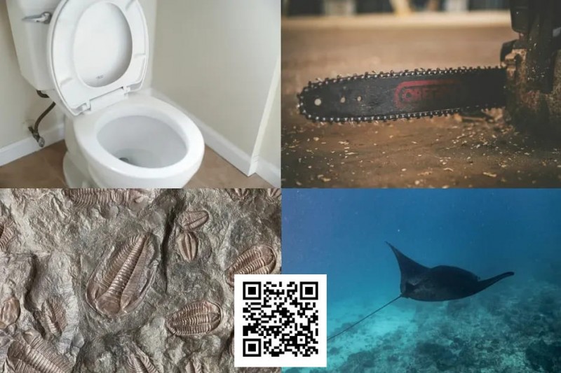 【ACR扑克】扑克界谁的绰号最炸裂：电锯、魔鬼鱼、石化人、马桶？