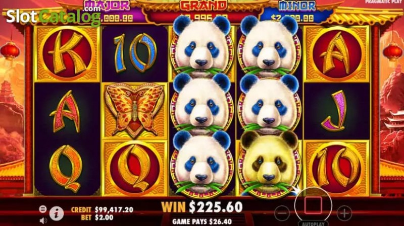 【ACR扑克】熊猫财富2重磅上线大发娱乐平台