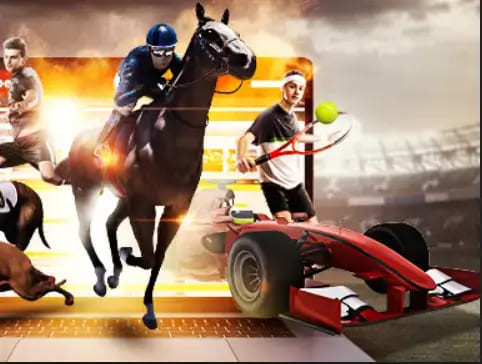 【ACR扑克】大发娱乐《百练赛》:巅峰竞技,燃爆全场的英雄对决!